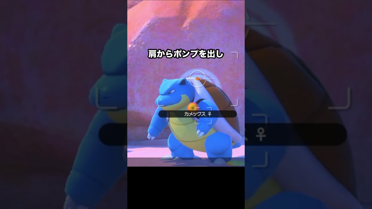 ゼニガメからカメックスへの成長？！#ポケモン #newポケモンスナップ