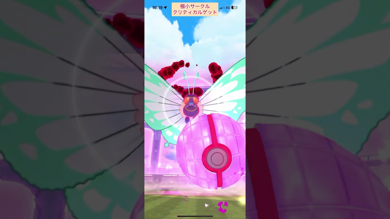 【難易度高】キョダイマックスバタフリー極小サークルクリティカルゲット【ポケモンGO】