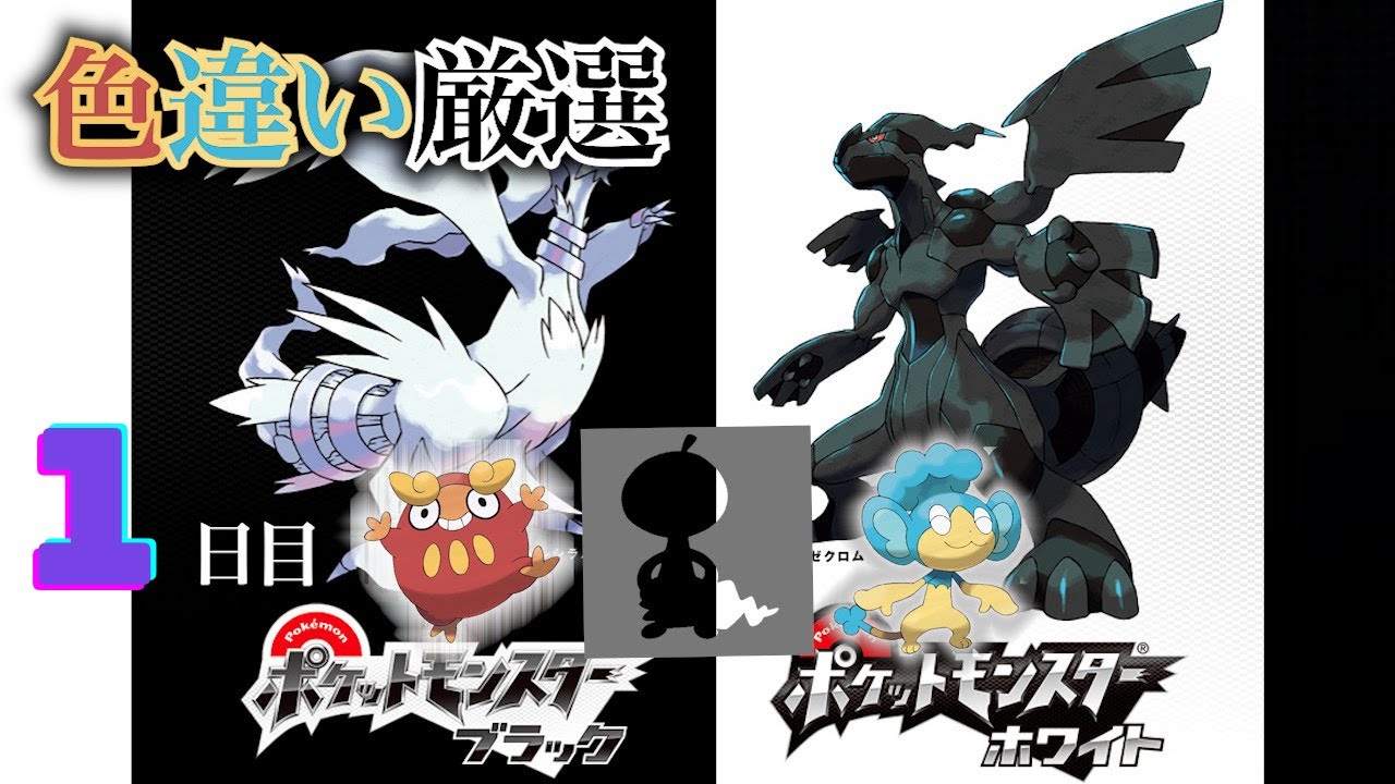 【ポケモンBW】4番道路(Shiny Pokémon)厳選(1日目) ~ヒヤップを添えて~