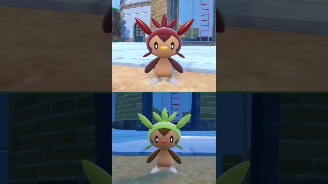 #ハリマロン  #ポケモン  #chespin  #pokemonscarletandviolet