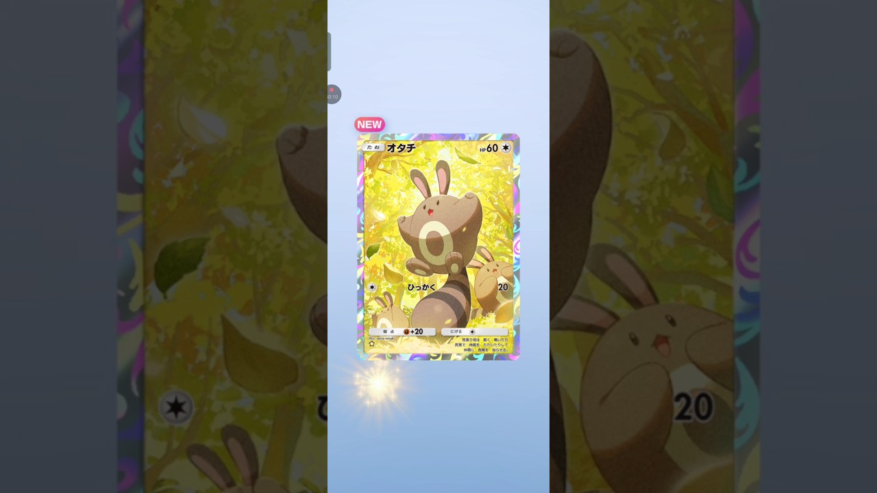 【ポケポケ】最新弾16発目　空と海の導きホウオウ オタチ#pokemon　 #pokemoncard #ポケモンカード