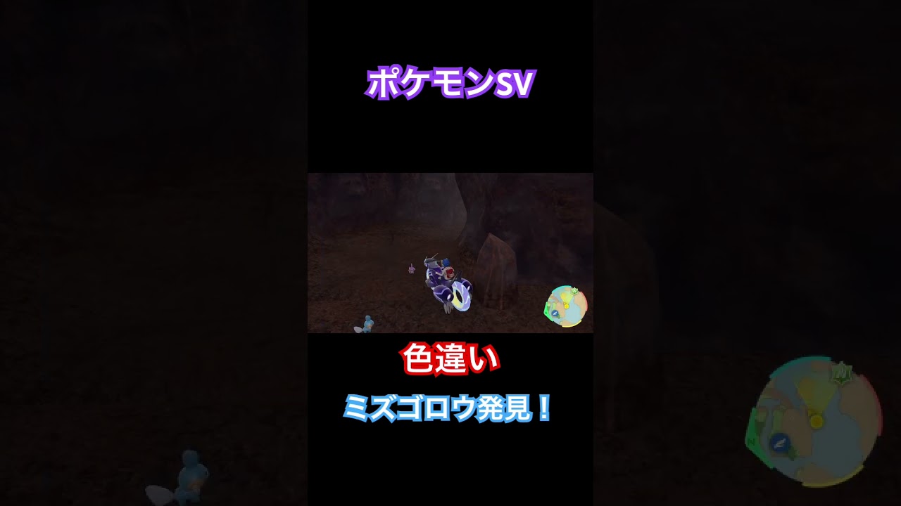 【ポケモンSV】色違いミズゴロウ発見！ #ポケモン #ポケモンsv #pokemon #shorts
