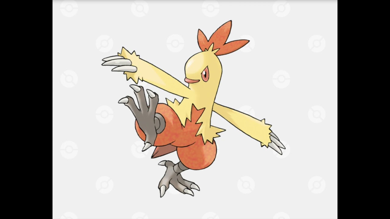 【Pokemon】ワカシャモ　No.256