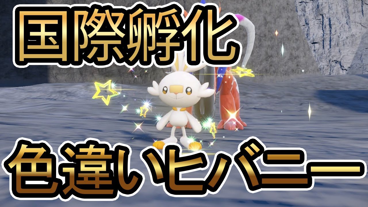 卯年なので国際孵化で色違いヒバニー狙ってみた 【ポケモンＳＶ】【ゆっくり実況】
