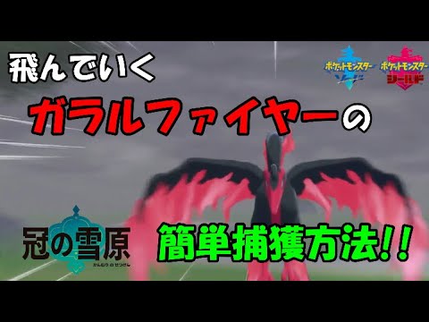 【冠の雪原】飛び回るガラルファイヤーの簡単捕獲方法！【ポケモン剣盾】