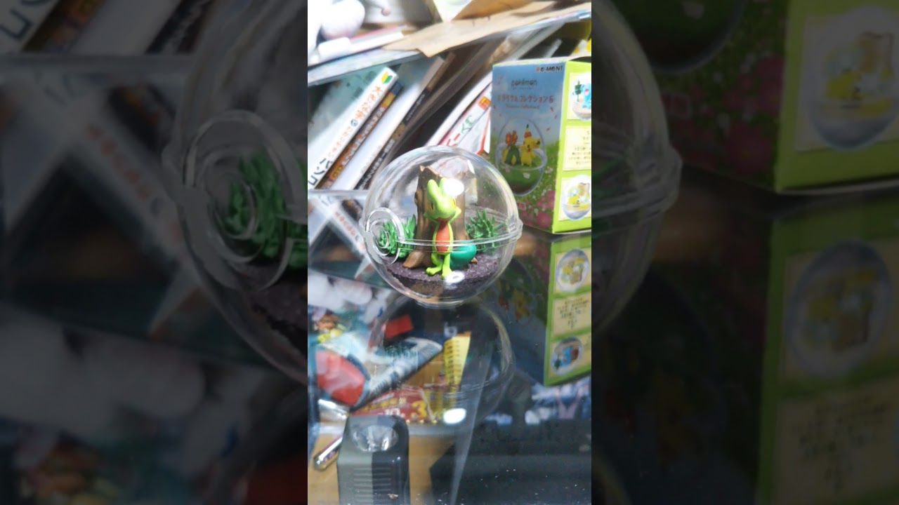 ポケモングッズ紹介(44)テラリウムコレクションキモリ