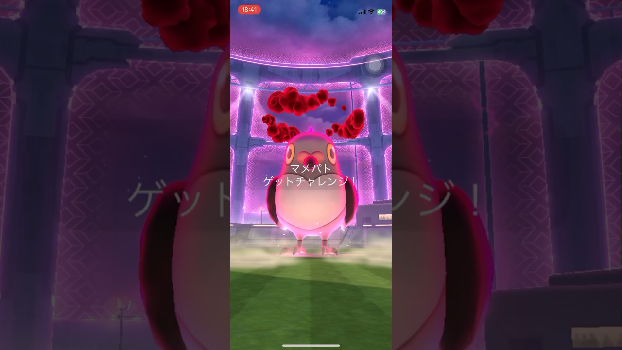 ポケモンGOマックスバトルマメパトゲットできたかな？　#ポケgo #pokemongo #ポケモンgo #pokemon #ポケゴー #ポケモン #マメパト  #shorts #short