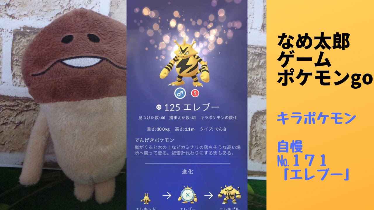なめ太郎のキラポケモン自慢コーナーナンバー１７１、「エレブー」【ポケモンgo】