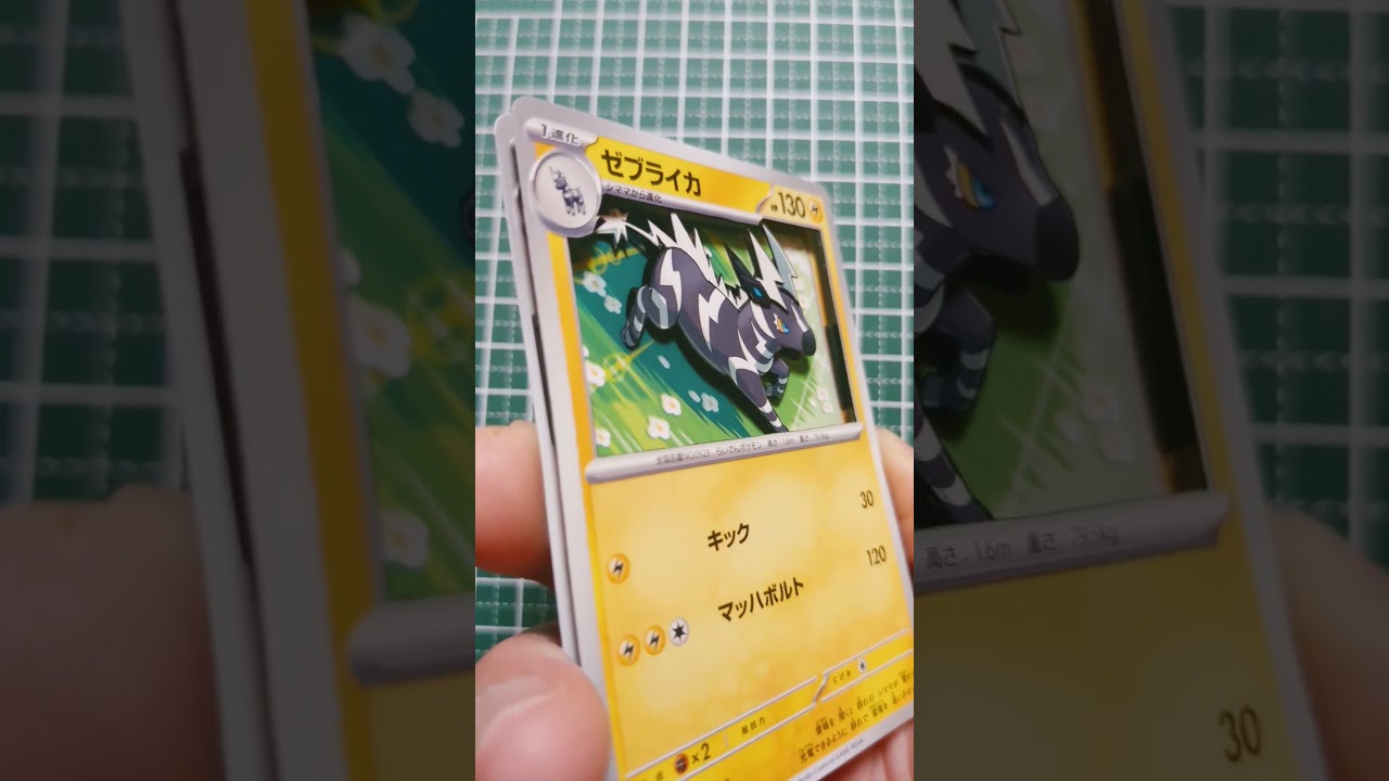 ポケモン　シャドーボックス「ゼブライカ」このまま晴れててくれ #ポケモンカード