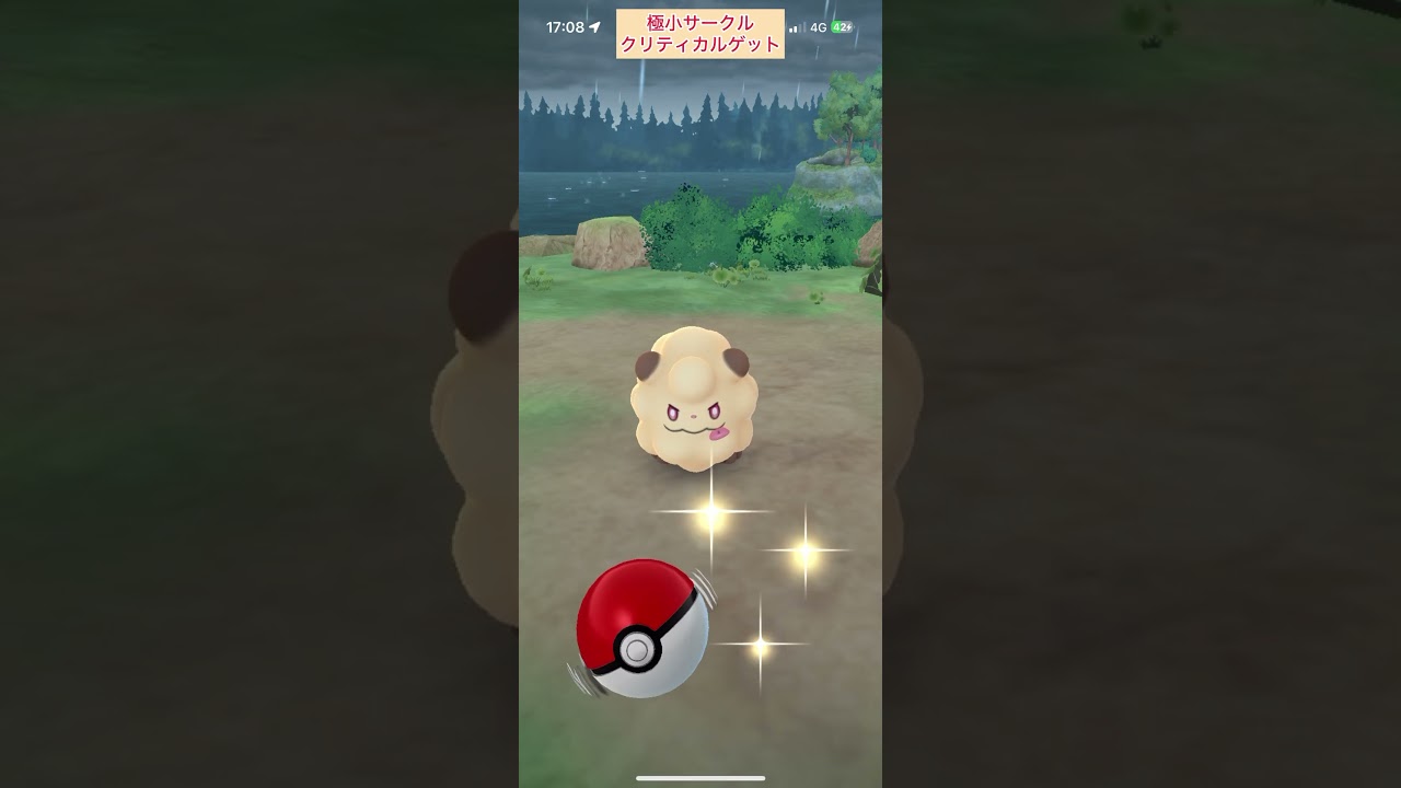 【難易度中】色違いペロッパフ極小サークルクリティカルゲット【ポケモンGO】