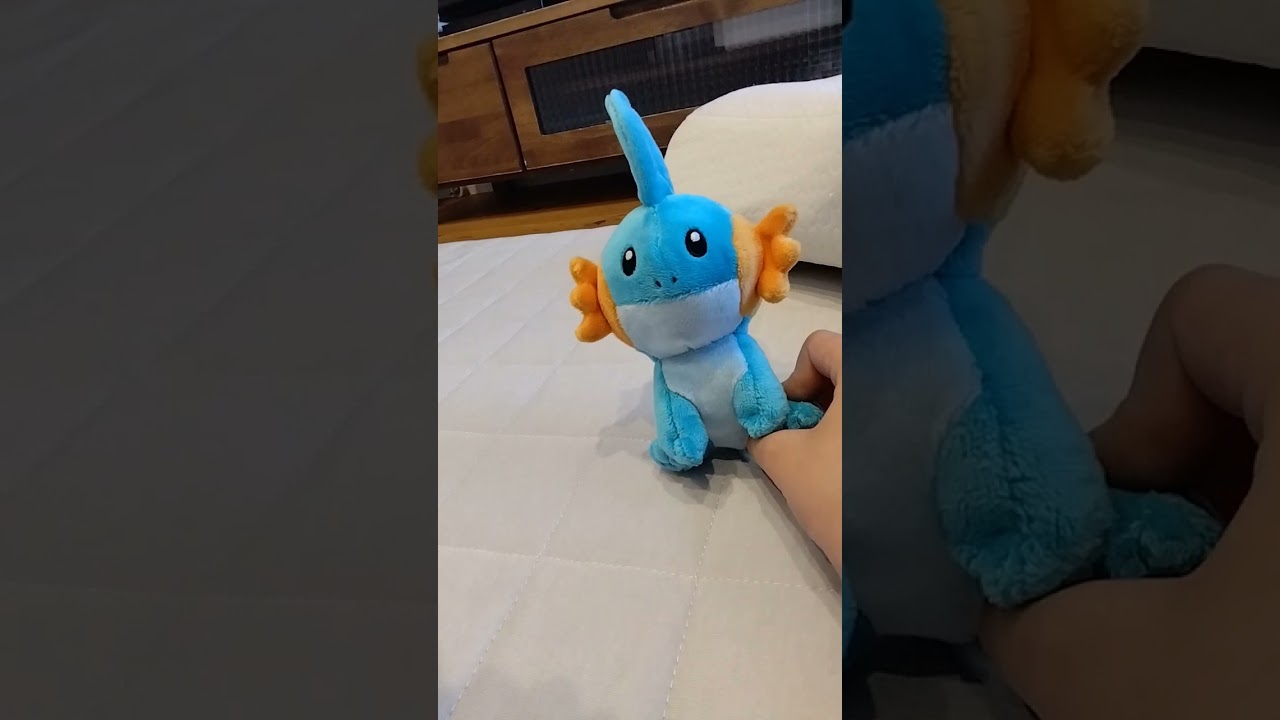 ポケモンミズゴロウ