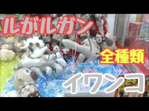 確率機！1000円でイワンコとルガルガンぬいぐるみ全種類取れるか！