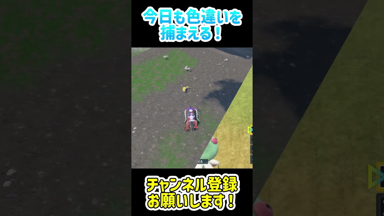 【ポケモンSV】色違いを捕まえるぞ！