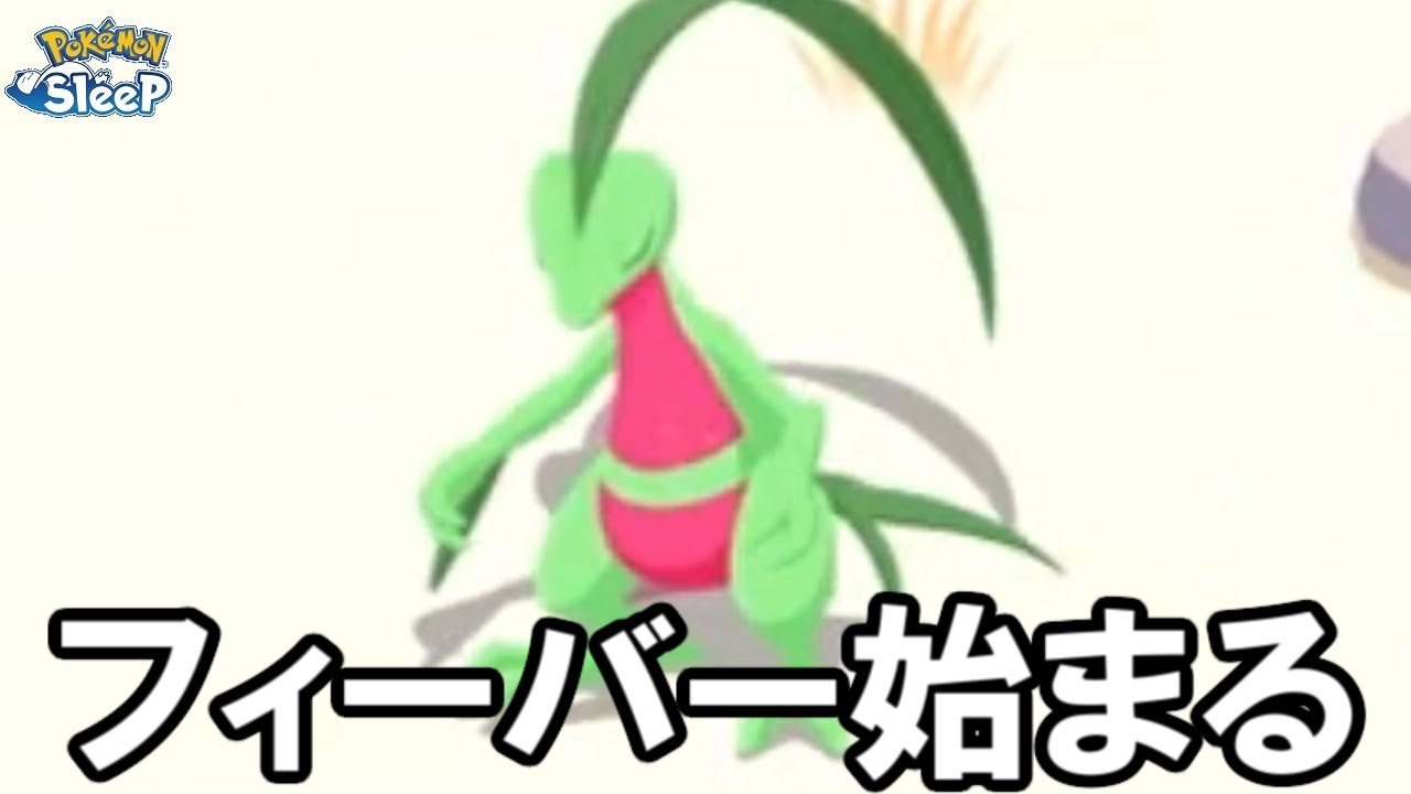 ジュプトルしか出ないゾーン入りました。【ポケモンスリープ】