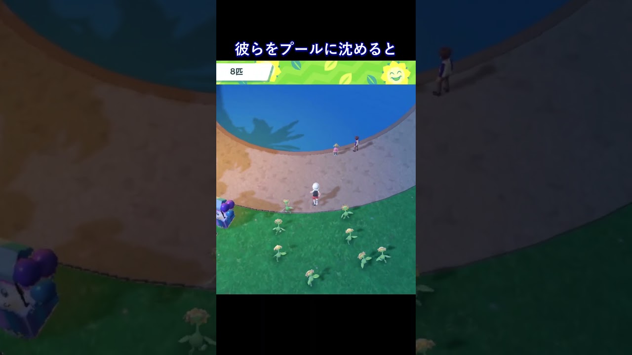 水は苦手なようだ #shorts #ポケモンsv #ポケットモンスター #キマワリ