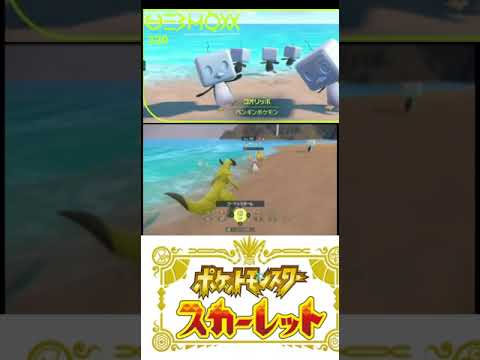 【ポケモンsv】色違いコオリッポ