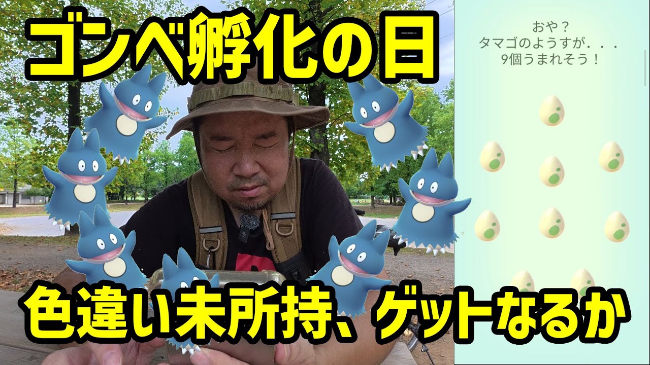 【ポケモンGO】え？こんな厳しみ？色違い未ゲットなのでガチる！ ゴンベ孵化の日