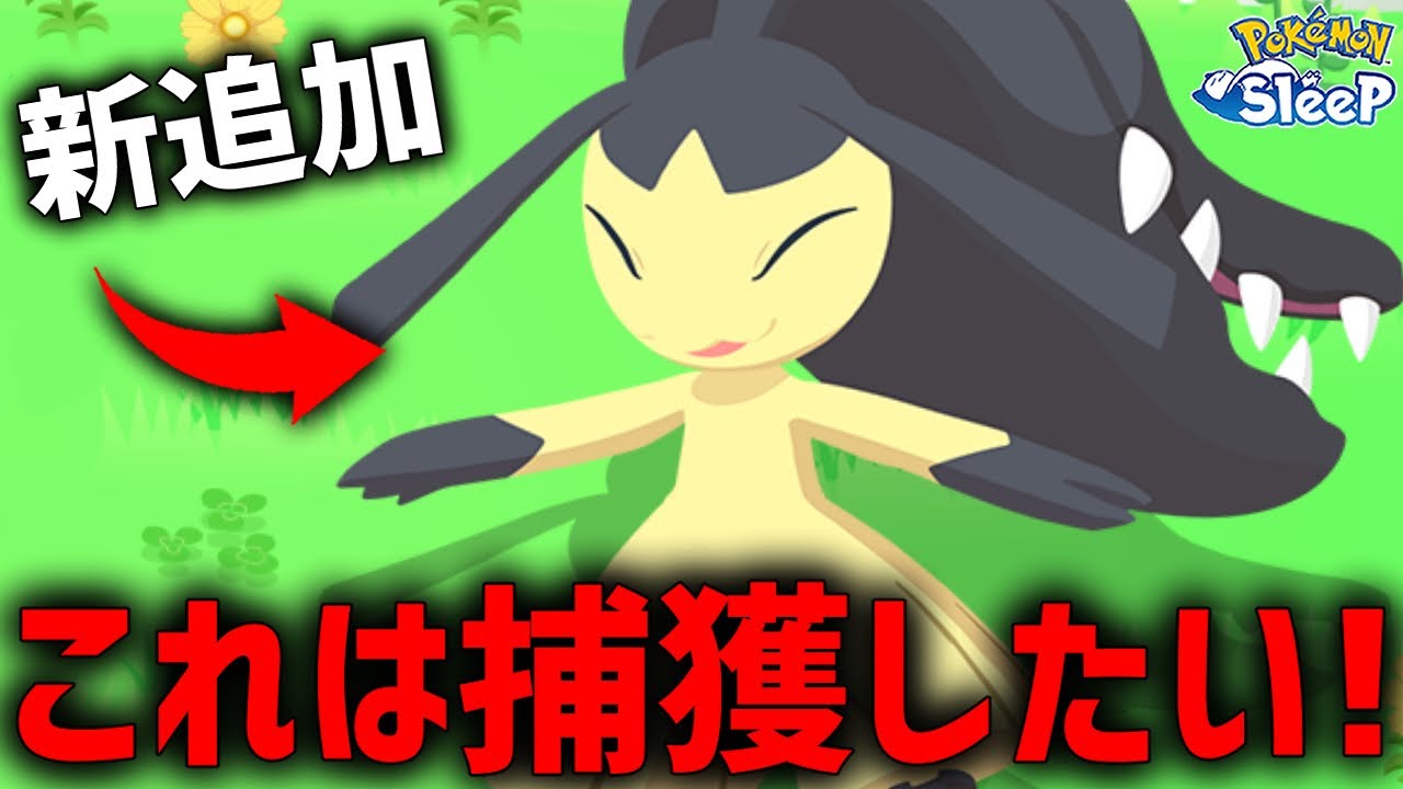 新追加された『クチート』なんとしても捕獲したい！【ポケモンスリープ 】