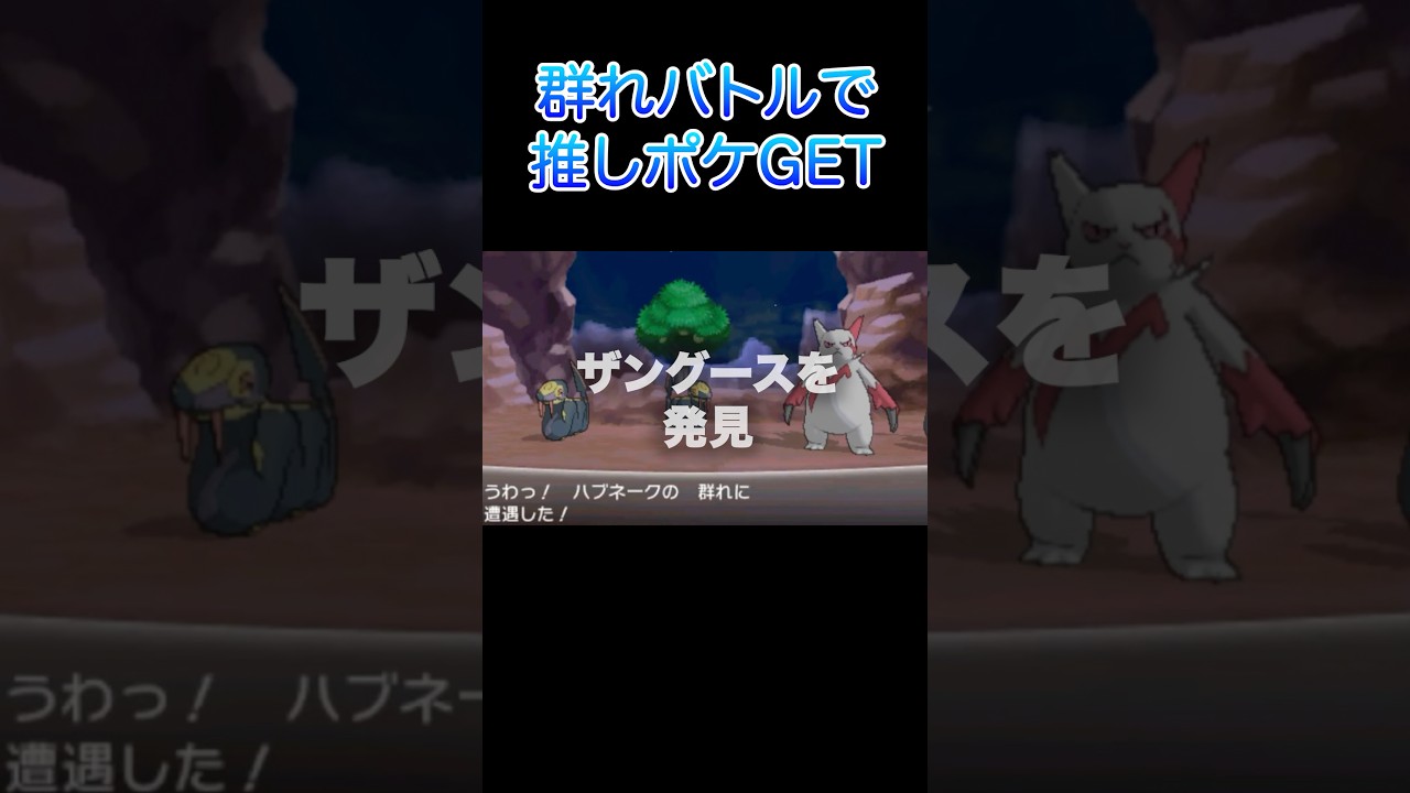 【ポケモンXY】群れバトルでザングース神引き！爆笑ニックネーム「ハブとるよ」誕生 #shorts #ポケモン #サマンサ遭遇隊