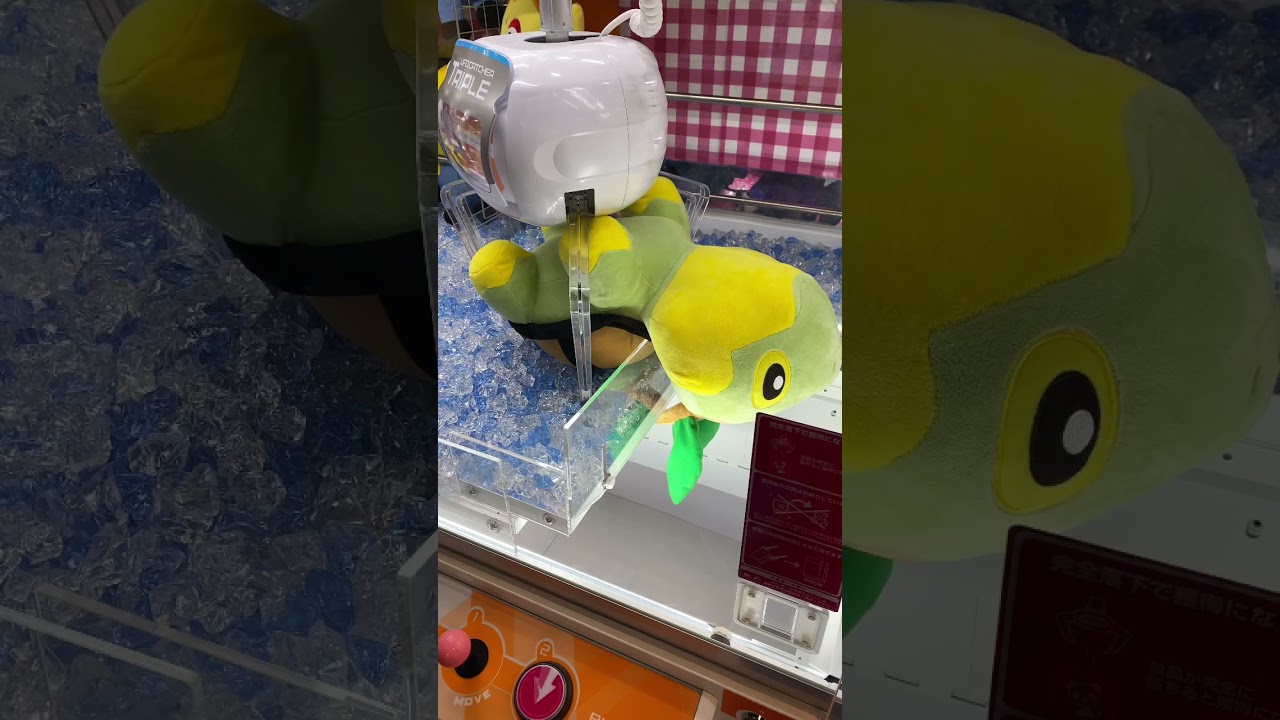 5秒後に落ちないナエトル
