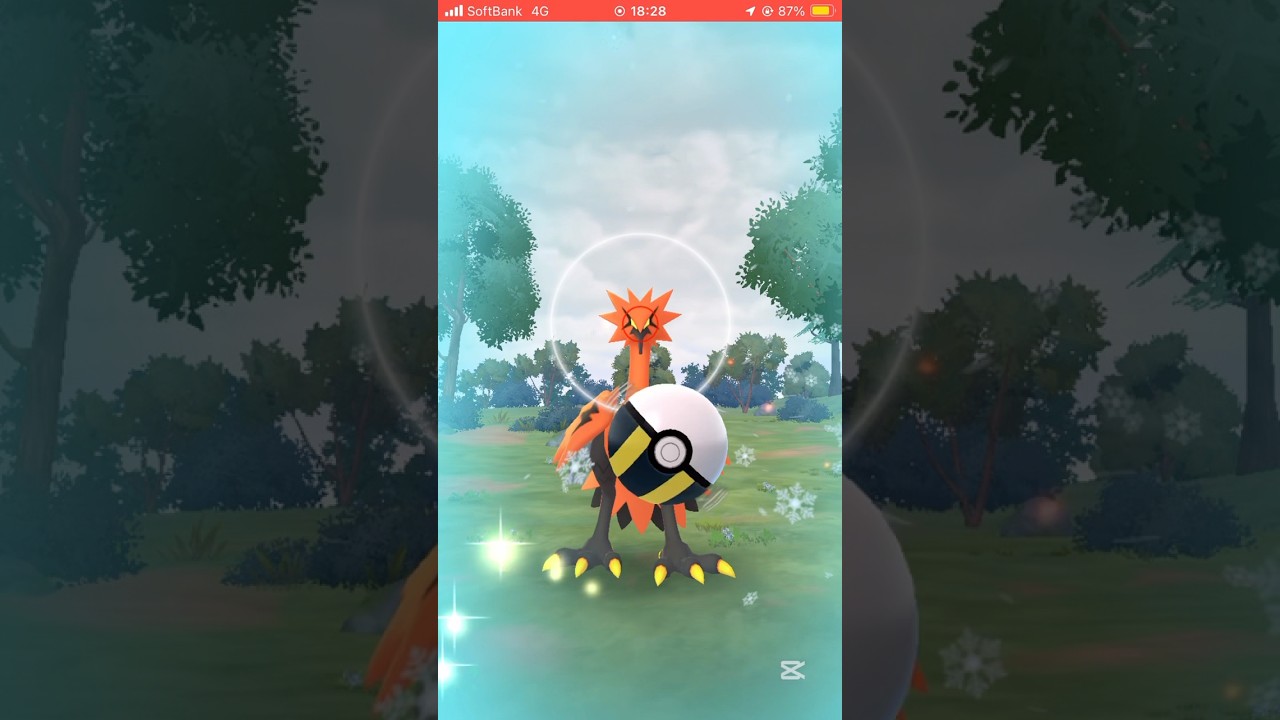 ガラルサンダー出現！サンダーだけやけに多いな😎#ポケモン #ポケモンgo #pokemongo #pokemon #ガラル三鳥 #ガラルサンダー #ガラル #うれしい