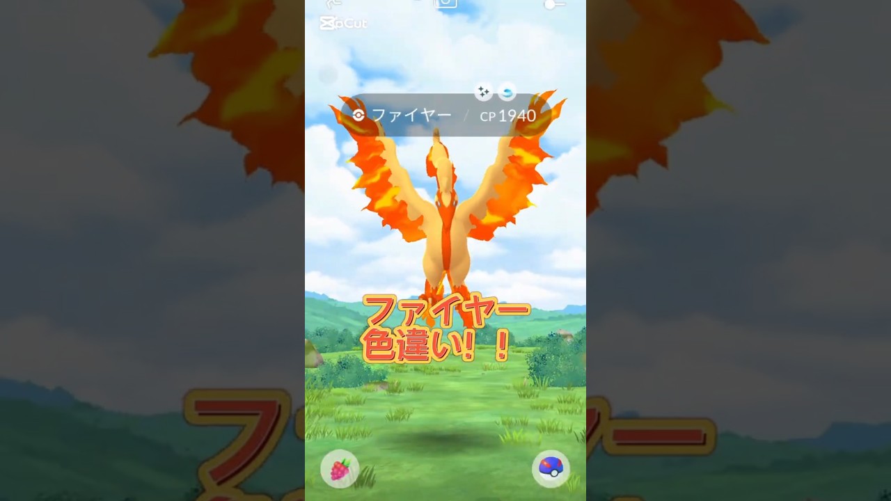 色違いガラルファイヤー出現🎉 #ポケモンgo  #ガラル三鳥  #pokemongo