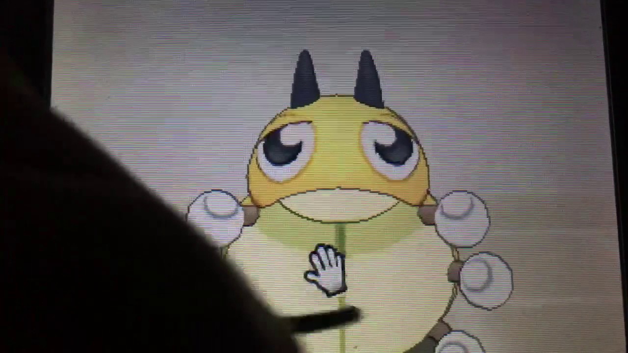 ポケモンSM レディバかわいい