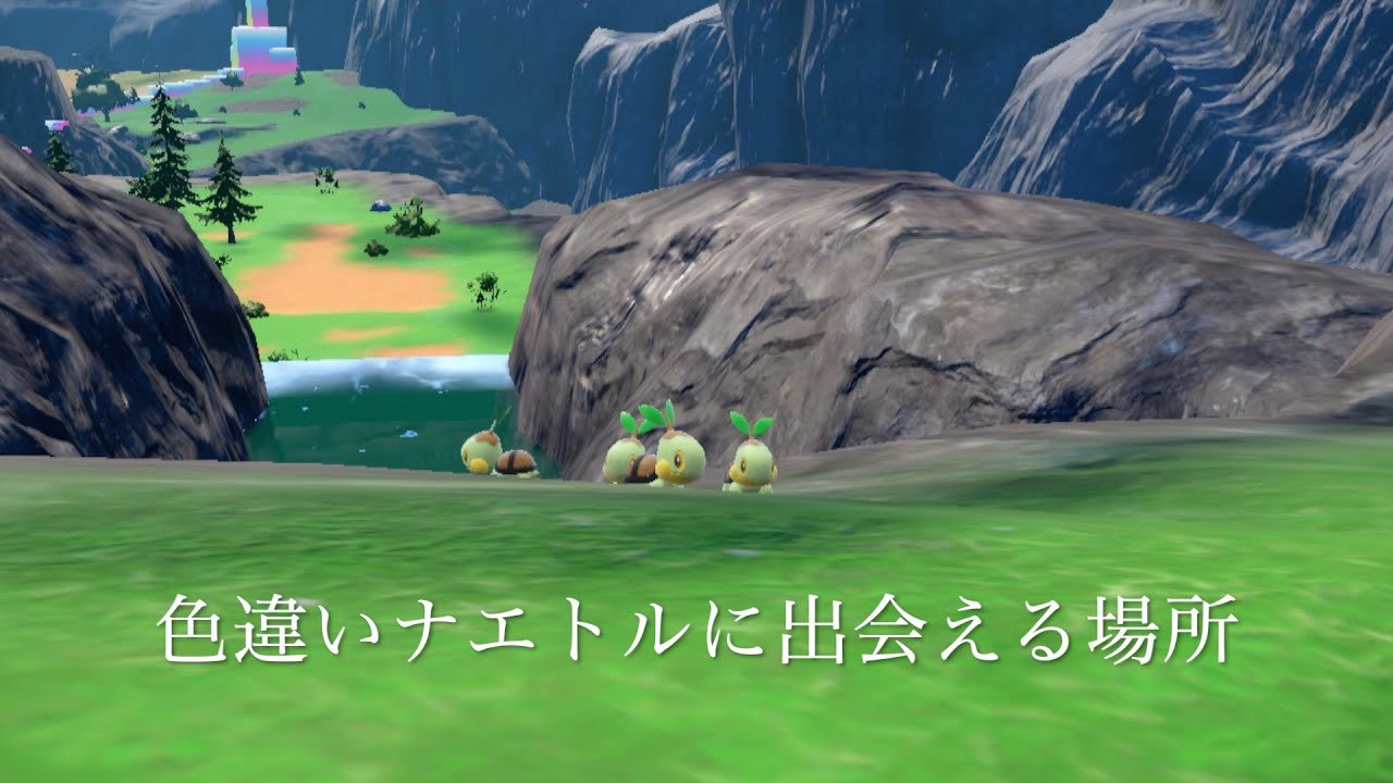 【ポケモンsv厳選】色違いナエトルに出会える場所とサンドイッチの作り方