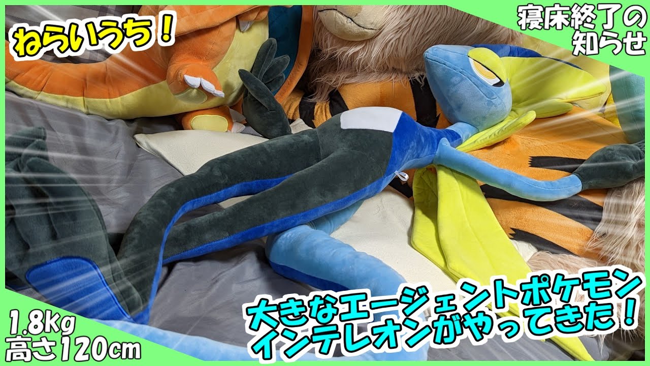 【ねらいうち】大きなエージェントポケモン インテレオンがやってきた！【受注生産】
