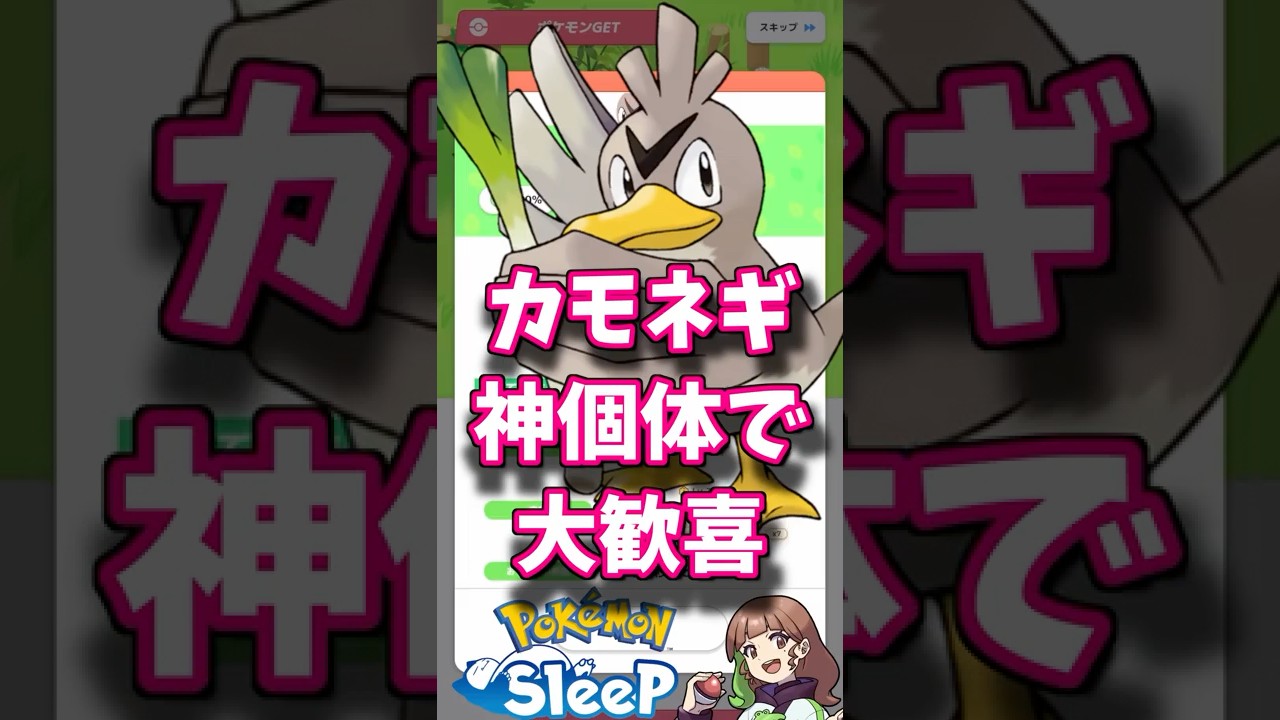 つよつよ神個体のカモネギゲットした！！！ #ポケモンスリープ #ポケモンスリープ攻略 #ポケスリ #shorts
