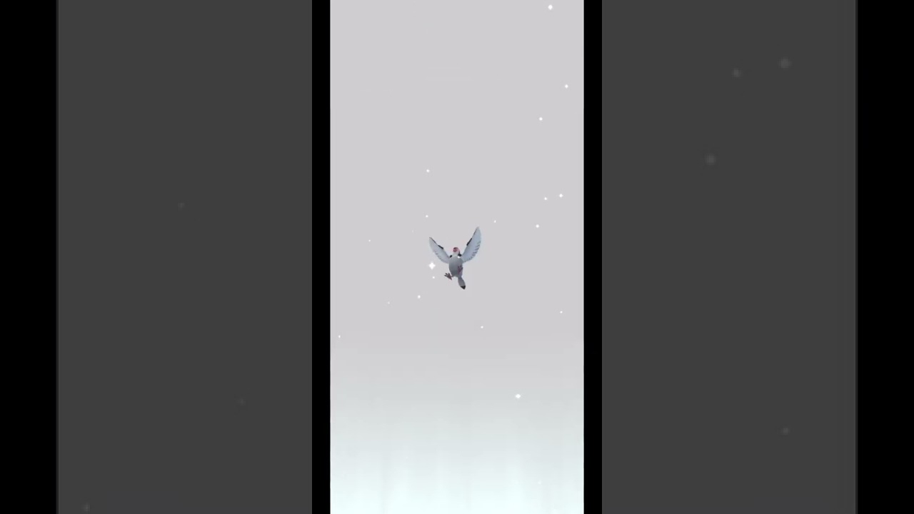 #ポケモンgo マメパトの進化