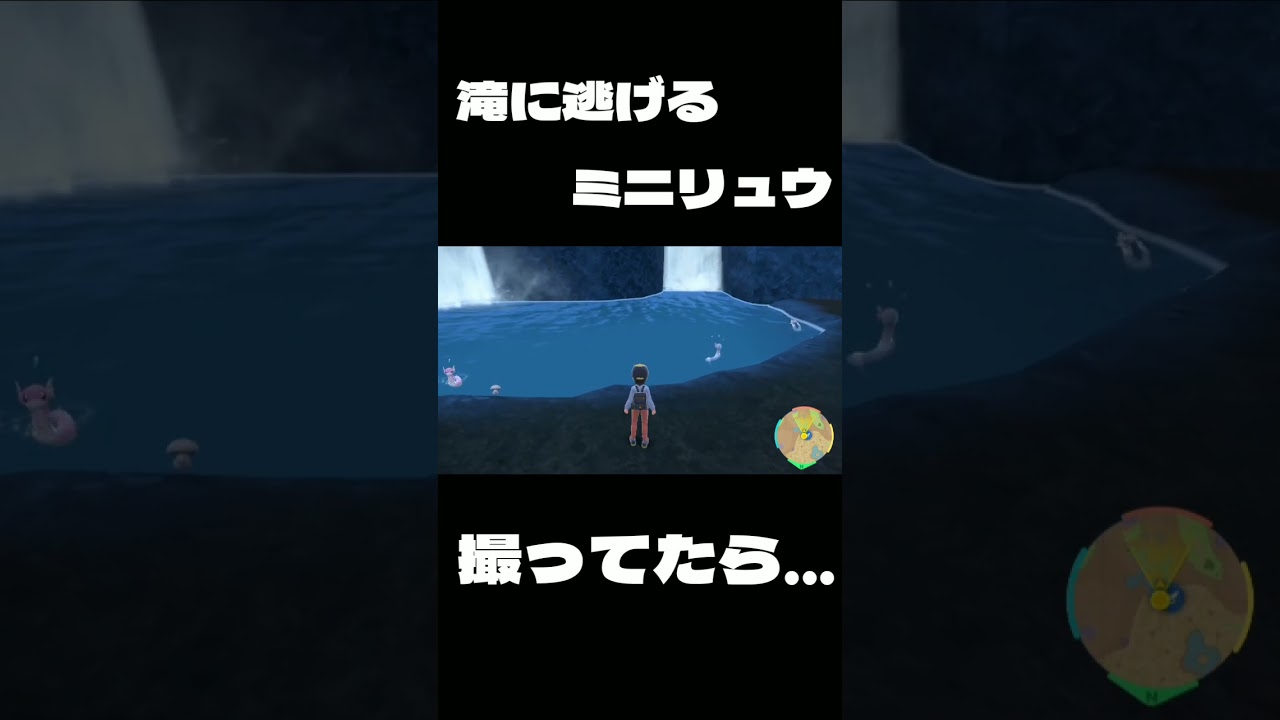 [ポケモンSV] 滝に逃げるミニリュウ撮ってたら... [ポケットモンスタースカーレット] #Shorts #ポケモンsv #ポケットモンスタースカーレット #ポケットモンスターバイオレット