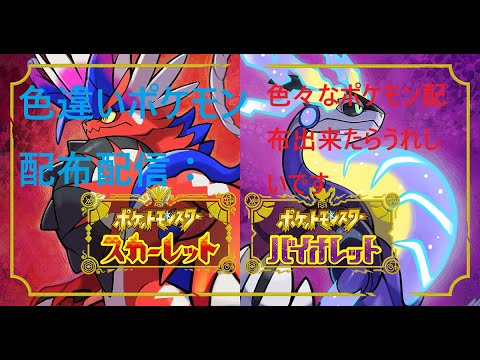 色違い配布するぞ‼初見さん大歓迎です！暇になったら色違い探しやランクマ、テラスタルレイドしていきます。