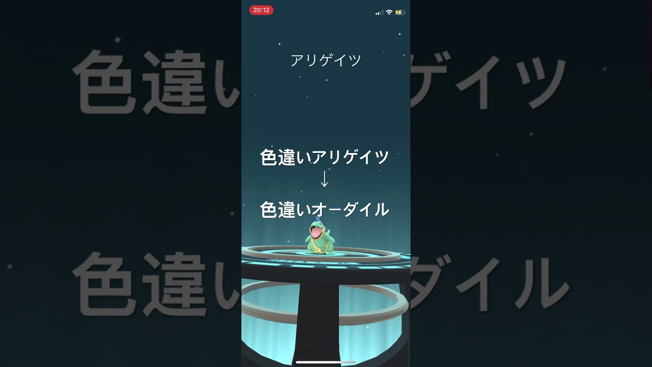 ポケモンGO 色違いワニノコを色違いアリゲイツ、色違いオーダイルへ進化！ #pokémon #ポケモン #ポケモンgo