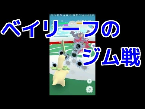 【ポケモンGO実況】ベイリーフのジム戦！！