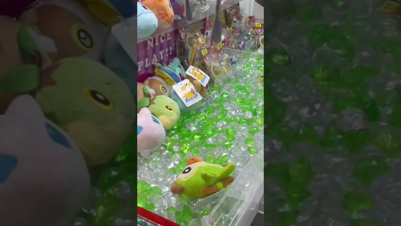 ポケモン　サルノリ　タグの貴公子参上