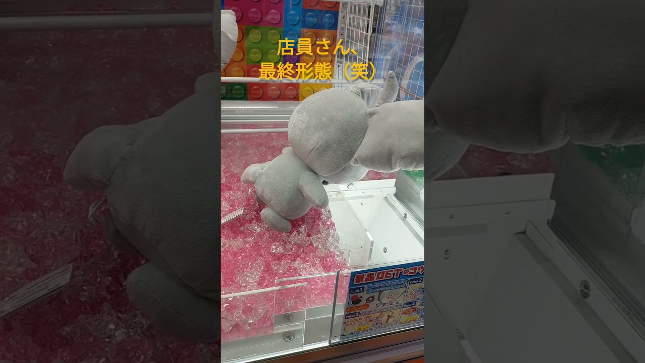 クレーンゲーム＊ポケモン＊チラーミィ　ゼニガメプレイしにきたのに、沼ったポケモン（笑）店員さんのアドバイス通りにすると沼る（笑）＃クレーンゲーム＃ポケモン＃チラーミィ