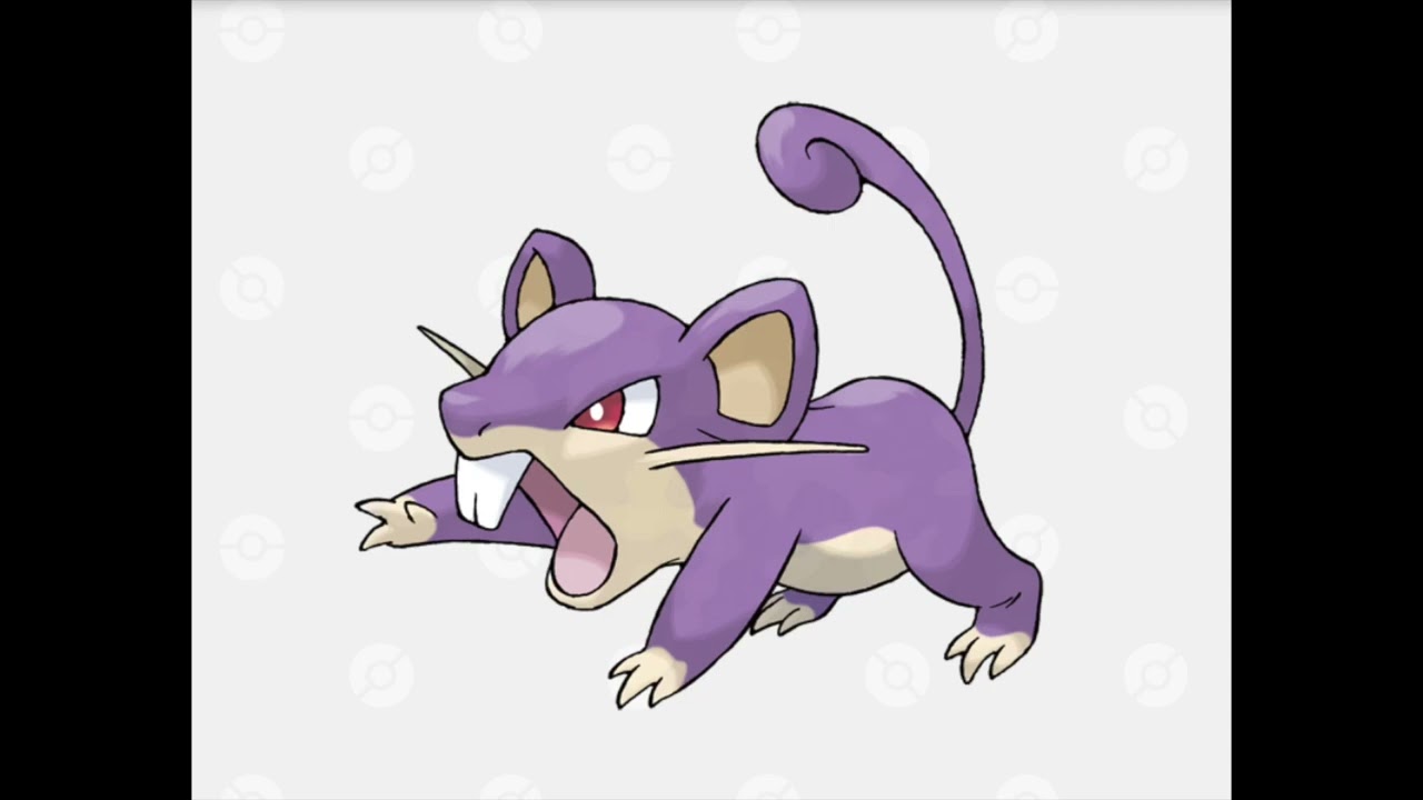 【Pokemon】コラッタ　No.019