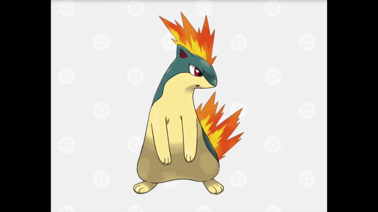 【Pokemon】マグマラシ　No.156