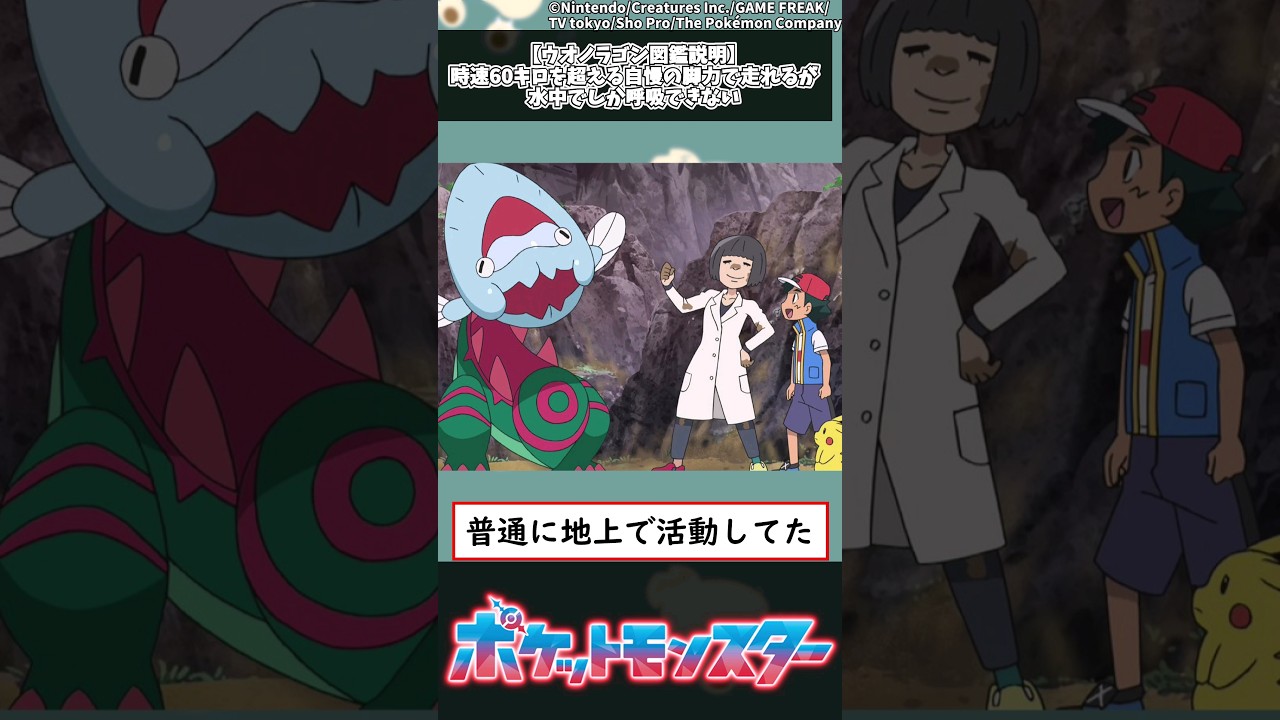 【ポケモン】ウオノラゴン図鑑説明「時速60キロを超える自慢の脚力で走れるが水中でしか呼吸できない」 #shorts