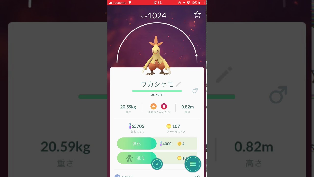 ワカシャモを最終進化バシャーモえ！