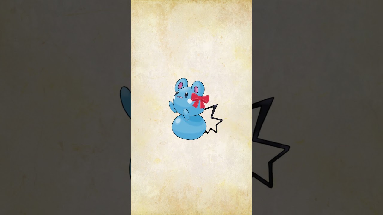 マリルに関するちょっとした雑学