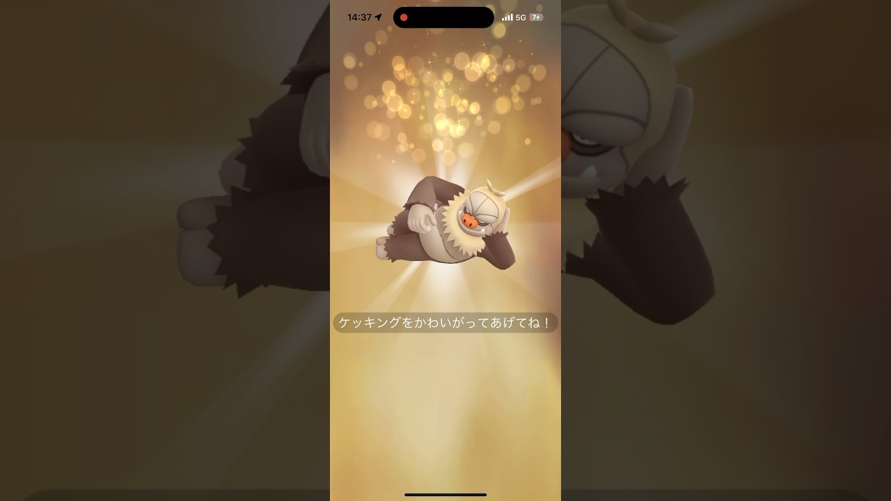 【ポケモンGO】キラ交換✨色違いのケッキングをGET！#ポケモンgo #ポケモン #ケッキング #キラ交換