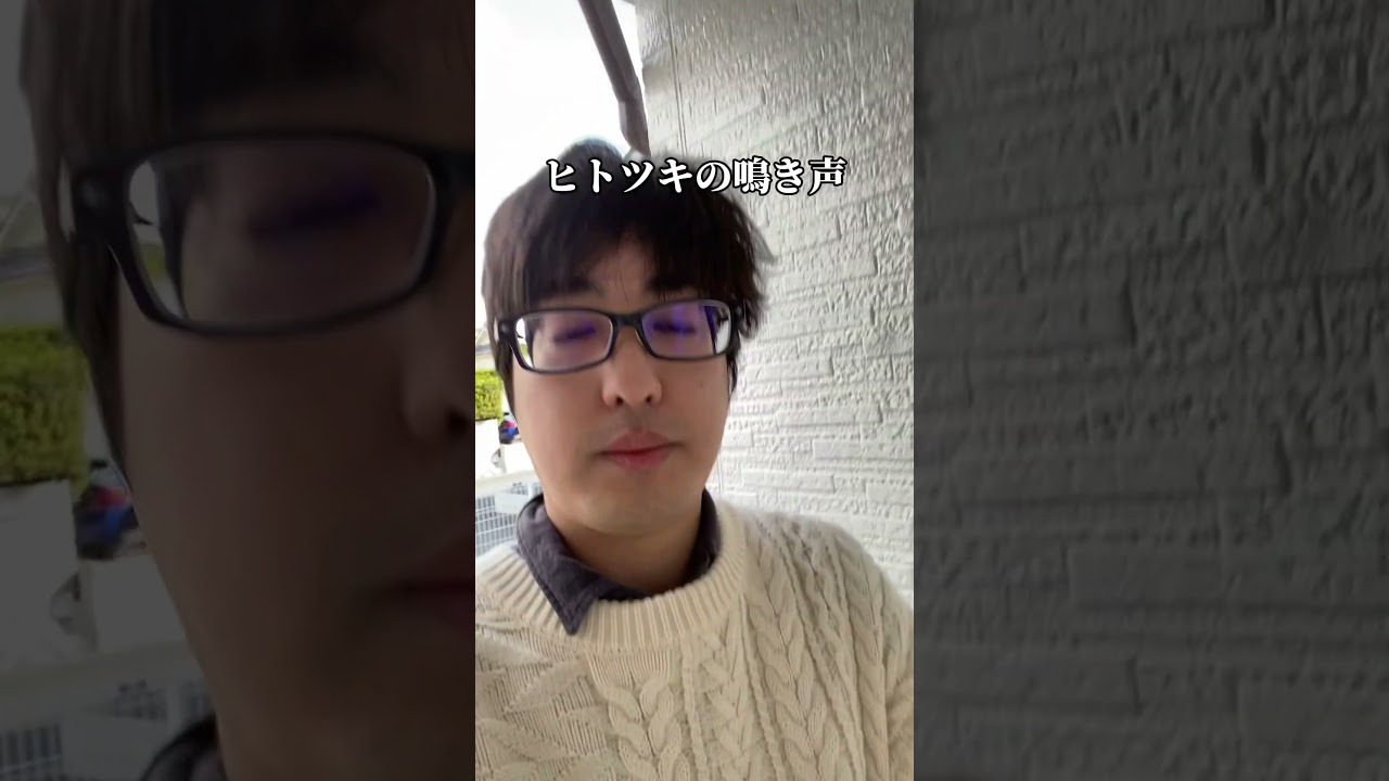 ポケモン空想モノマネ　ヒトツキの鳴き声