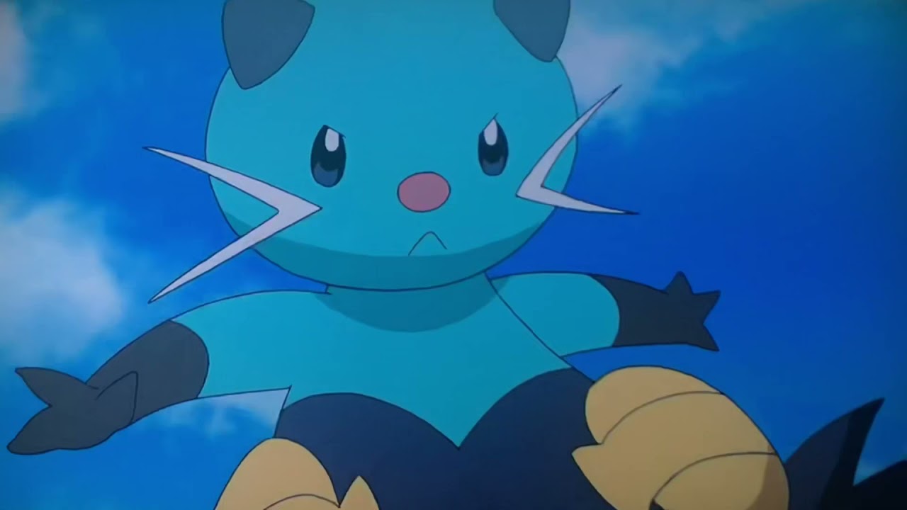 ポケットモンスター　第８１話　アベル　フタチマル　ブルータス　ニャオニクス♂   VS ムサシ　コジロウ　ニャース
