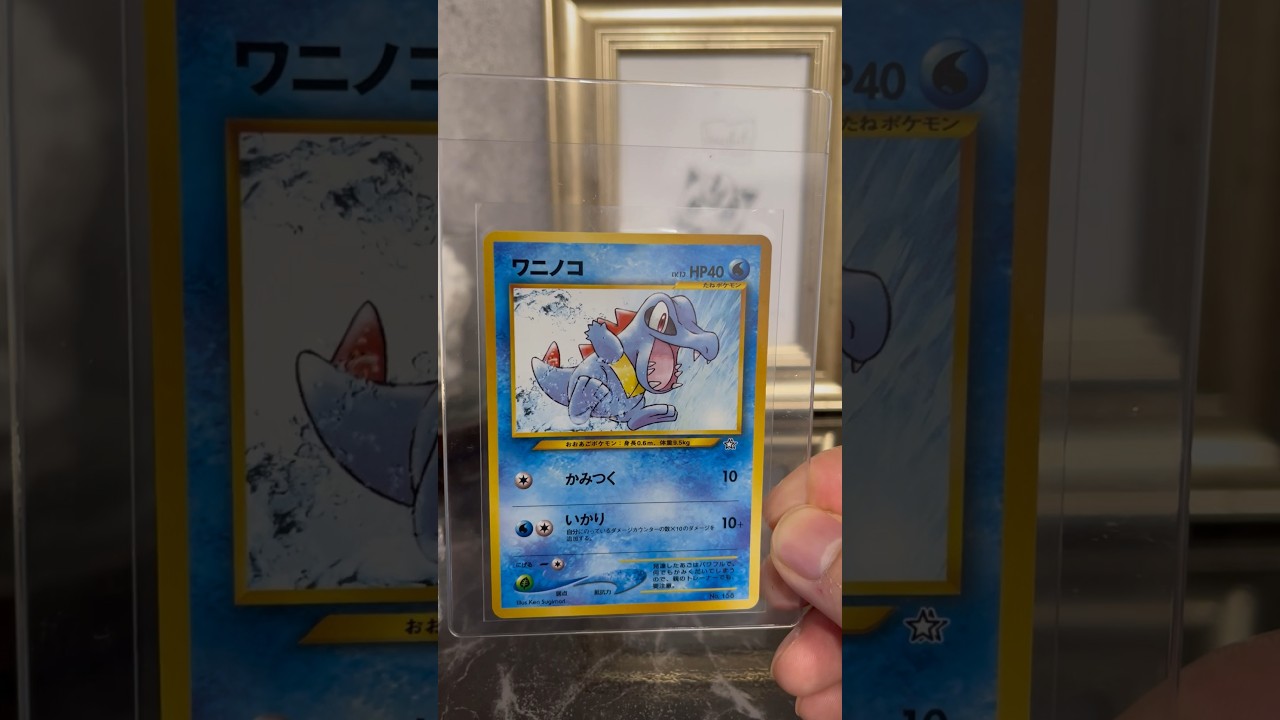 【ポケカコレクション】ワニノコ知ってる人は高評価押してね！ #ポケカ #ポケモンカード #pokemontcg #ポケカ投資 #ポケカ高騰予想 #ポケカ開封 #オリパ開封 #ポケカ相場分析