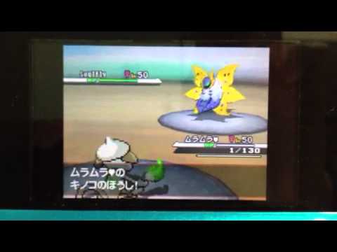 ドーブルピカチュウでガチパを狩る