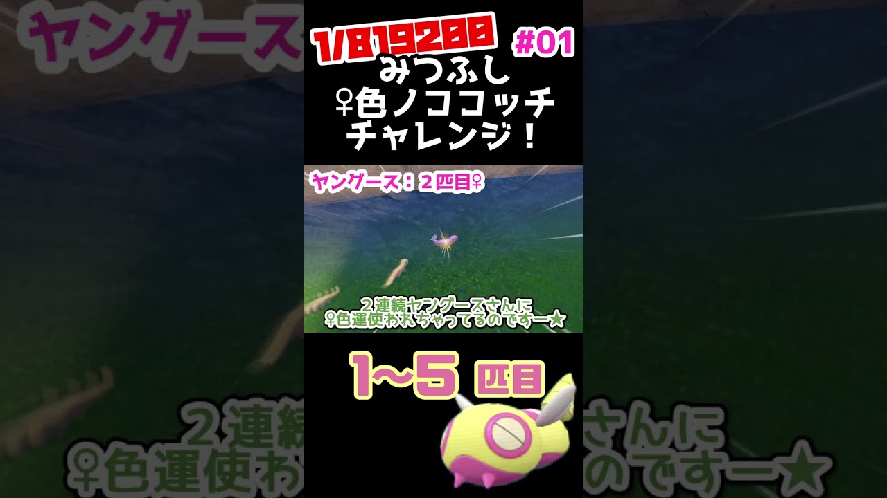 【SV色厳選】みつふし♀色ノココッチチャレンジ！＃01【♀縛り】【ポケモンSV】【ゆっくり実況】