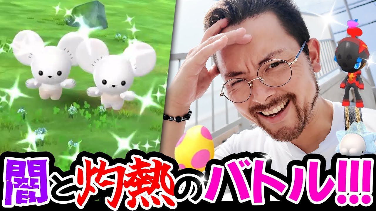 色違いワッカネズミはチームコラボ＆タスク全力フル回転！！あ…5匹目の100％…遂に3匹家族になるか？！【ポケモンGO】