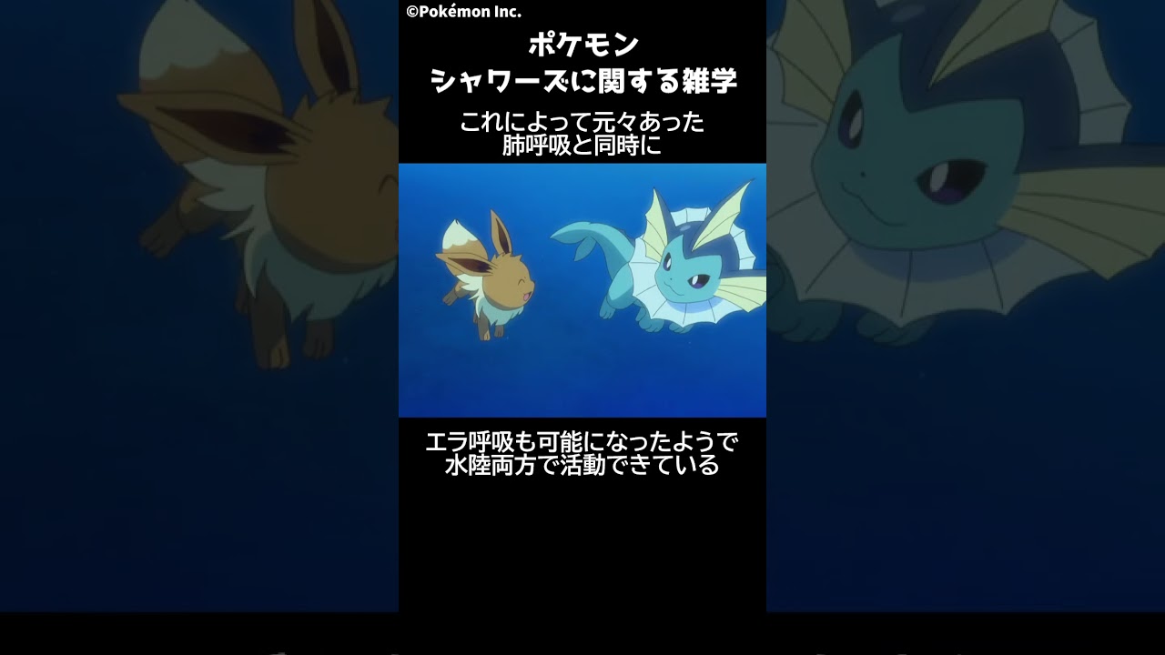 ポケモン 1分でわかるシャワーズに関する雑学・豆知識 Pokemon #ポケモン #pokemon #ポケットモンスター